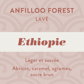 Anfilloo Forest