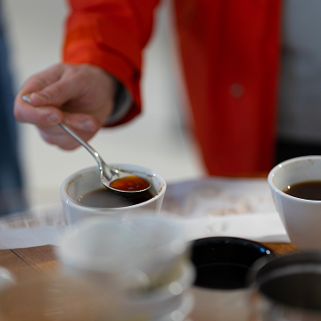 Dégustation de café