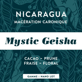 Mystic Geisha